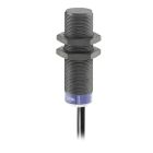 XS218AANAL2, Telemecanique Inductive Proximity Sensors XS, Inductive Sensor XS2 M18, L60mm, PPS, Sn12mm, 12...48 VDC, Cable 2 M